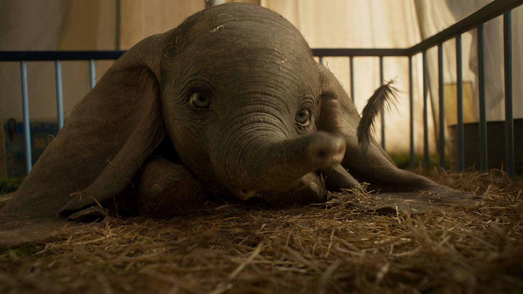 Dumbo is the cutest animated elephant out there.