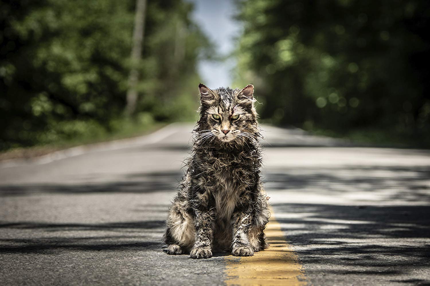 Sometimes dead is better - Pet Sematary (2019)